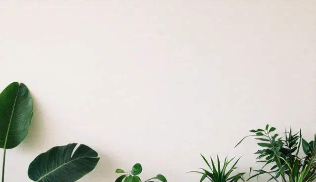 电商代运营的性能与适用条件分析